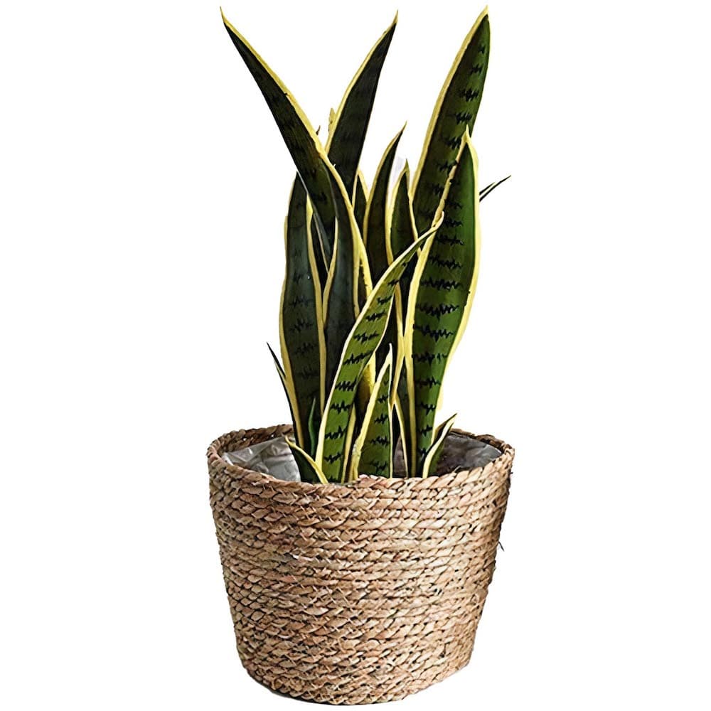 Cache Pot en Osier Fibre Naturelle