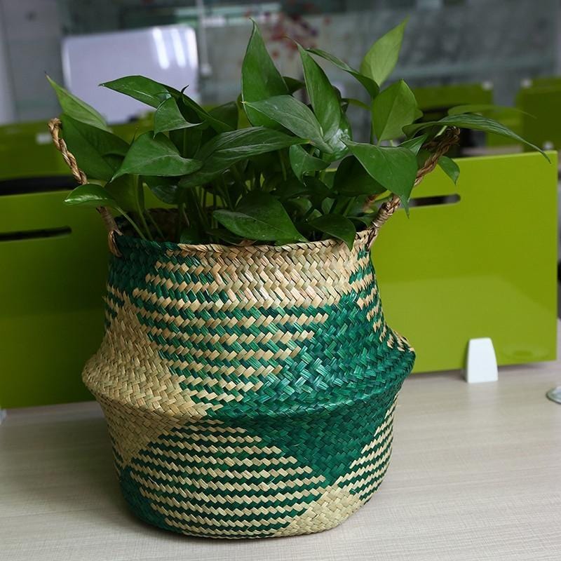 Cache Pot en Osier pour Cactus