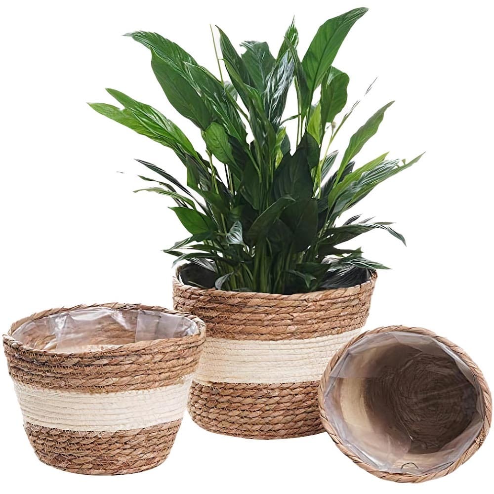 Cache-Pot en Osier pour Plante