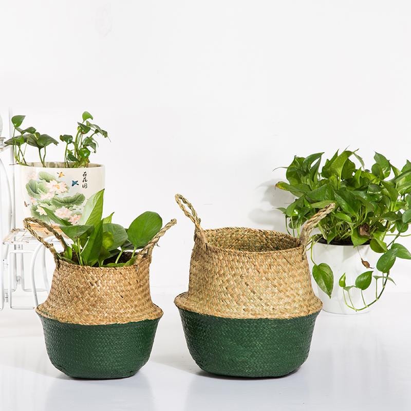 Cache Pot en Osier Tressé Vert naturel