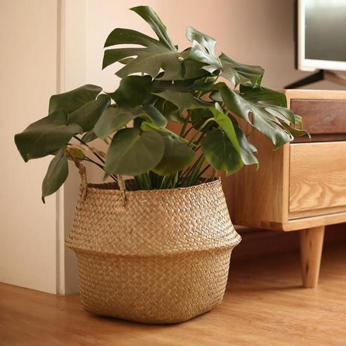 Cache Pot Osier Grande Taille - Collection Nature Chic