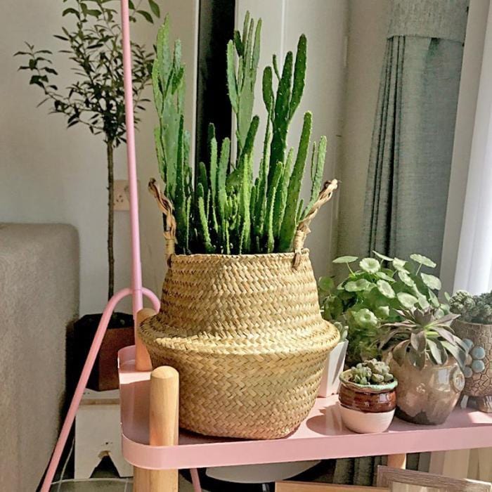 Cache Pot Osier Grande Taille - Collection Nature Chic