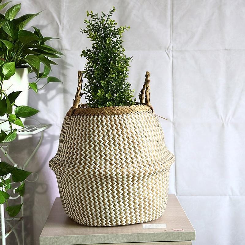 Panier Cache-Pot Osier Funky