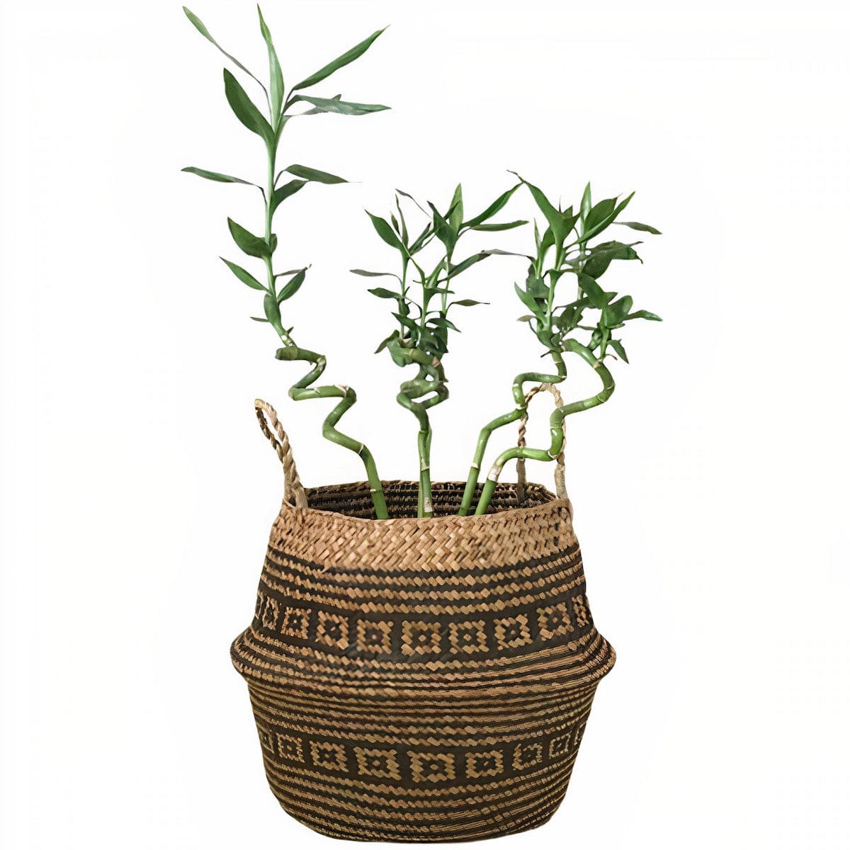 Panier Déco en Osier Cache Pot